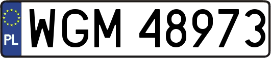 WGM48973