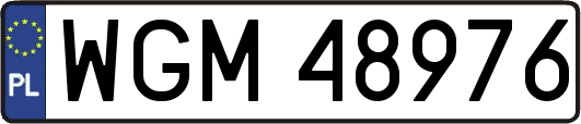 WGM48976