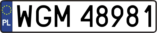 WGM48981