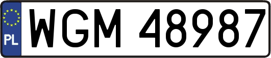 WGM48987