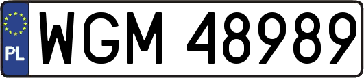 WGM48989