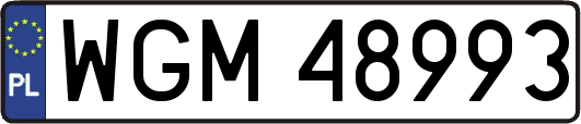 WGM48993