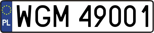 WGM49001