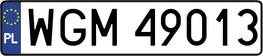 WGM49013