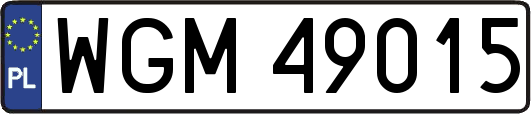 WGM49015