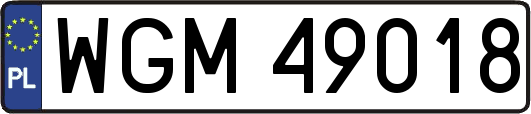 WGM49018