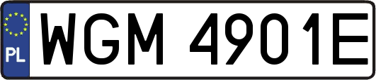 WGM4901E