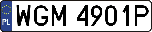 WGM4901P