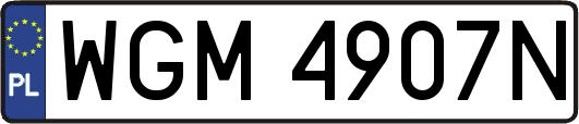 WGM4907N