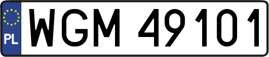 WGM49101