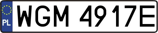 WGM4917E