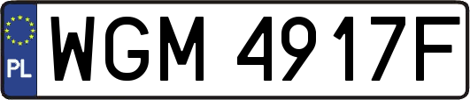 WGM4917F