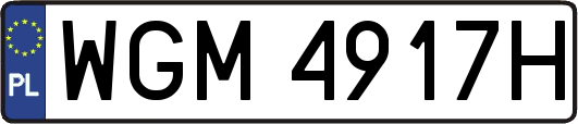 WGM4917H