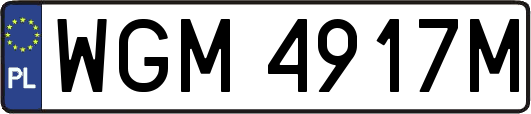 WGM4917M