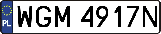 WGM4917N