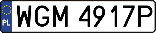 WGM4917P