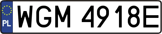 WGM4918E