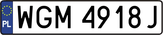 WGM4918J