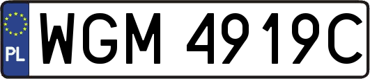 WGM4919C
