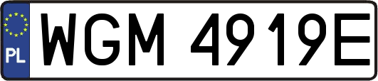 WGM4919E