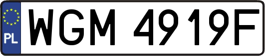 WGM4919F