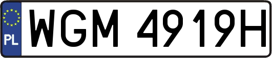WGM4919H