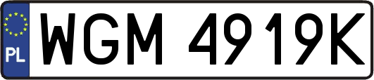 WGM4919K