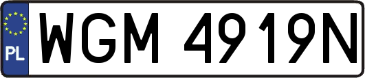 WGM4919N