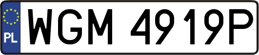 WGM4919P