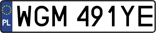 WGM491YE