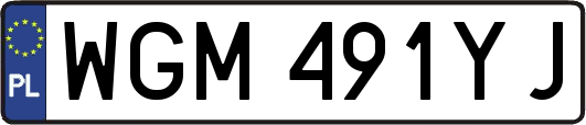WGM491YJ