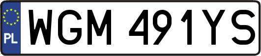 WGM491YS