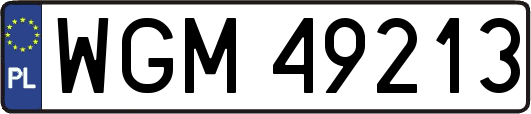 WGM49213