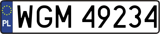 WGM49234
