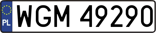 WGM49290