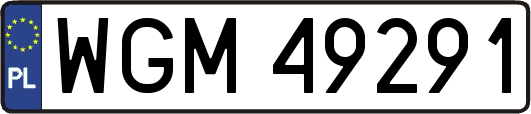 WGM49291