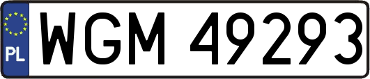 WGM49293