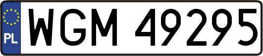 WGM49295