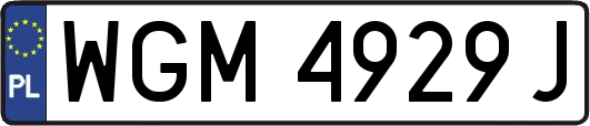WGM4929J