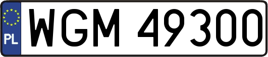 WGM49300