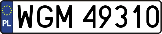 WGM49310