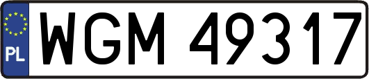 WGM49317