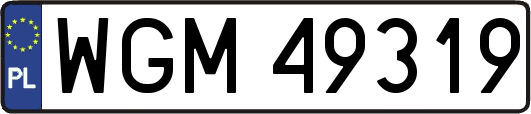 WGM49319