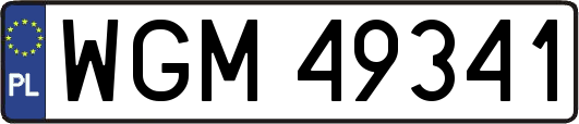 WGM49341