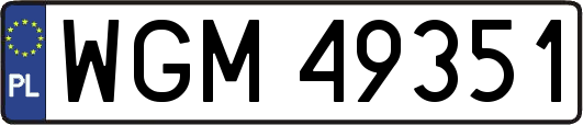 WGM49351