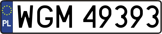 WGM49393