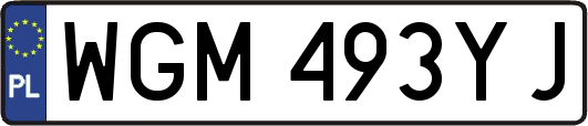 WGM493YJ