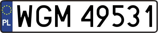 WGM49531