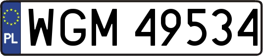 WGM49534