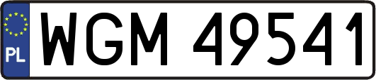 WGM49541